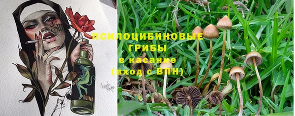 COCAINE Арсеньев
