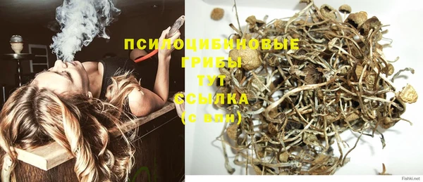 ECSTASY Аркадак