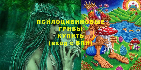 ECSTASY Армянск
