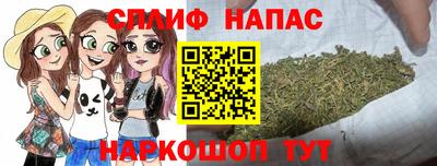 дживик Ачхой-Мартан
