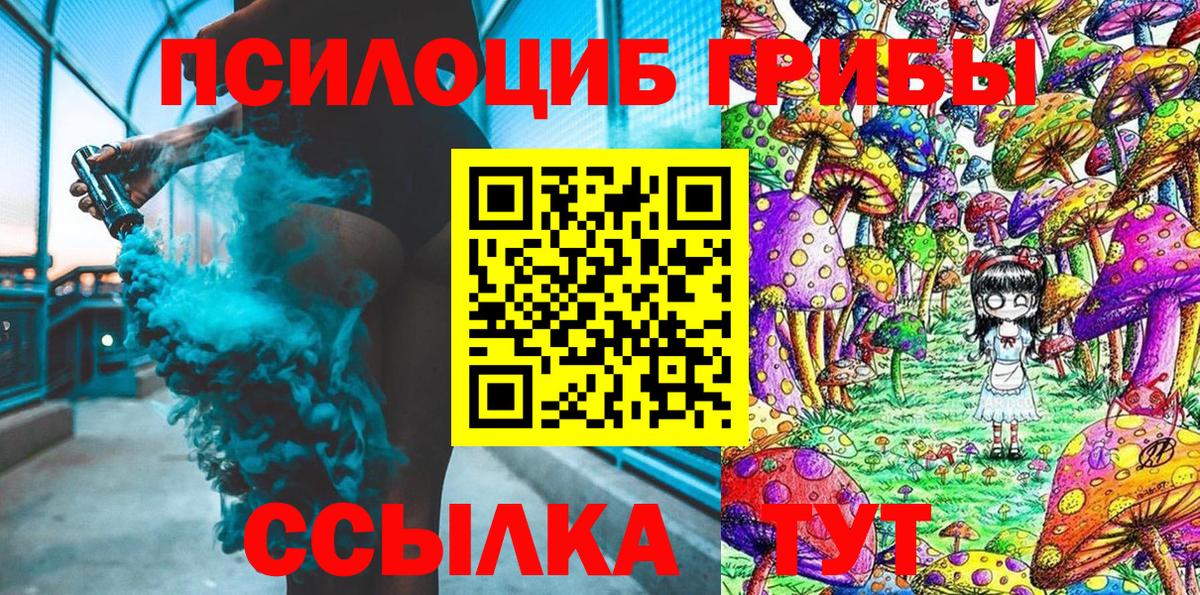 Псилоцибиновые грибы Psilocybine cubensis Череповец