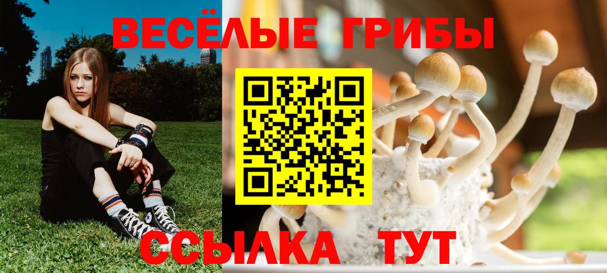 Череповец  Псилоцибиновые грибы MAGIC MUSHROOMS  Вход с VPN 